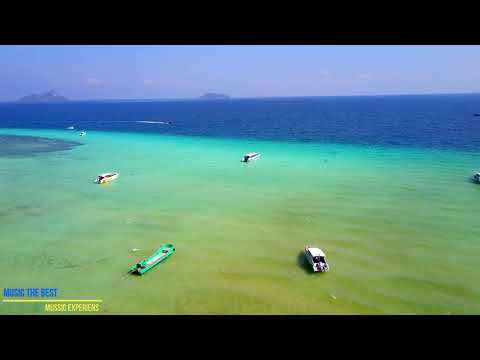 Aurosonic - Vocal Trance Hits (2022) видео