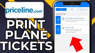 HOW TO PRINT PLANE TICKETS FROM PRICELINE (2026)