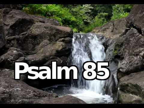 Cover image for YouTube video Grant Us Your Salvation
