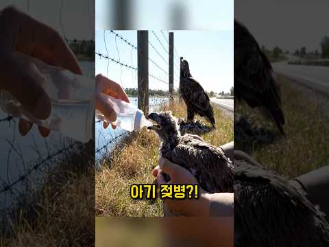 Why the police officer took out the bottle