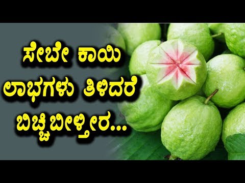 download lagu mp3 mp4 Seebe Hannu In Kannada, download lagu Seebe Hannu In Kannada gratis, unduh video klip Seebe Hannu In Kannada