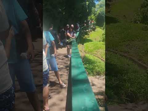 vontade de retornar para este paraíso, catata, Foz do Iguaçu - PR. 2024