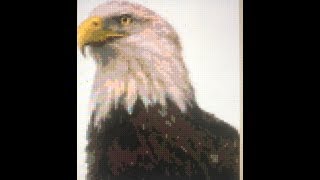 cross stitch world eagle