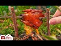 Whole Chicken Roasted In The Mini Forest By Miniature Cooking ASMR Outdoor Cooking
