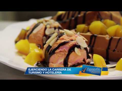 EJERCIENDO LA CARRERA DE TURISMO E HOTELÉRIA