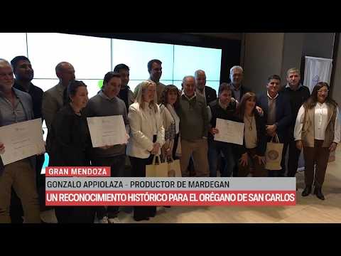 Reconocimiento histórico para el orégano de San Carlos