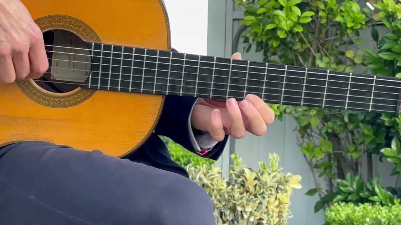 Promotional video thumbnail 2 for Southern California Acoustic Guitarist