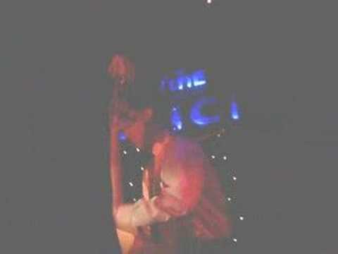 boogie in my bones - el pussycat