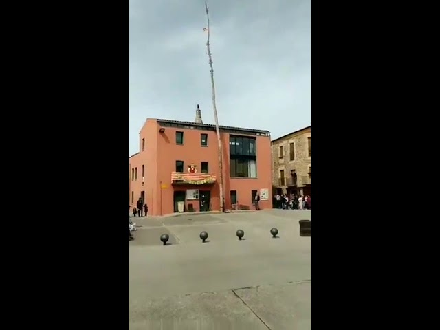 Спилили дерево...