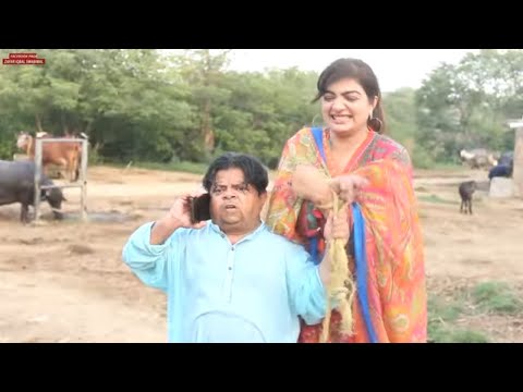 Pothwari Drama / Shahzada Ghaffar Funny Clip / Biyah Karsaan ChaLLI Naal