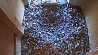 Live - Turmfalken - Webcam - Corbusierhaus - Berlin (innen II) live webcam