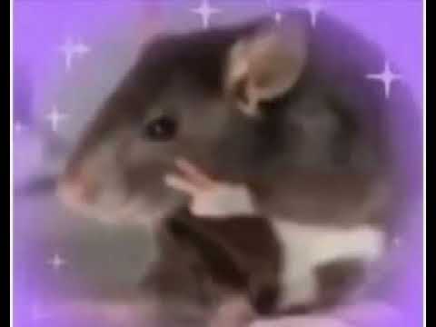 Jagger Finn - 004 (original joyrich)