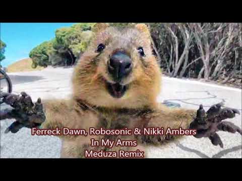 Ferreck Dawn, Robosonic & Nikki Ambers - In My Arms (Meduza Remix in 432Hz)