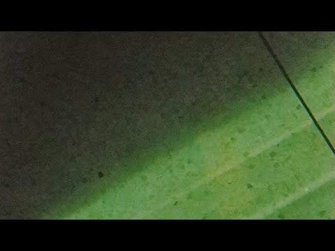 Video thumbnail for Sense