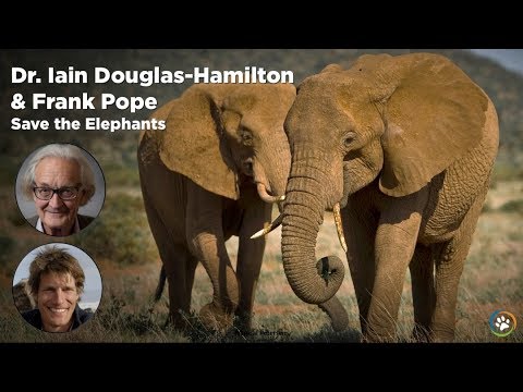 WCN Fall Expo 2017 - Save the Elephants- Dr.Iain Douglas Hamilton and Frank Pope