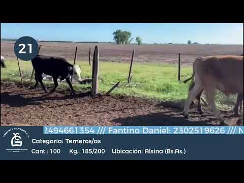 Lote M Y H - Alsina Bs As