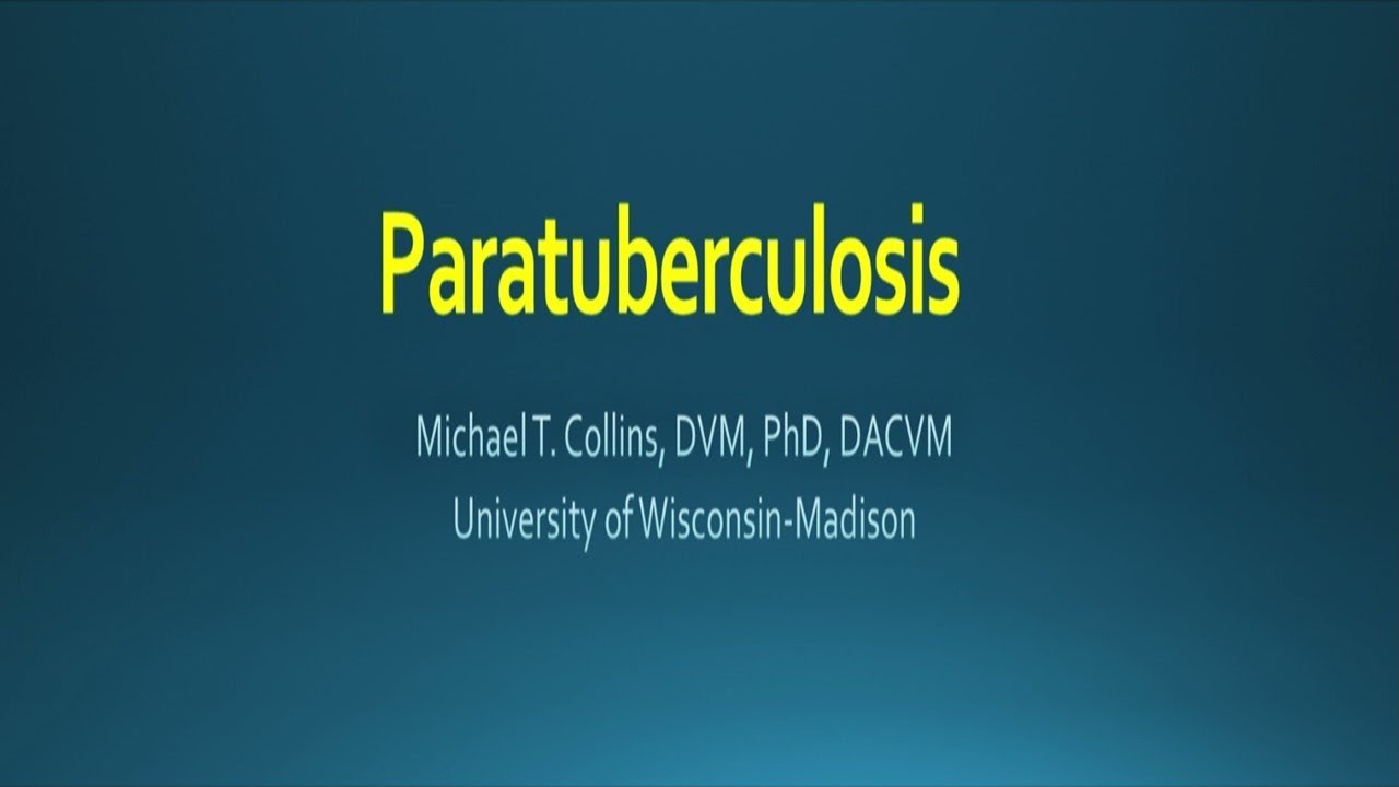 Paratuberculosis
