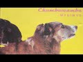 CHUMBAWAMBA - I'M NOT SORRY I WAS HAVING FUN THIS IS COPYRIGHTED MATERIAL I'M A FAN OF THIS MUSIC