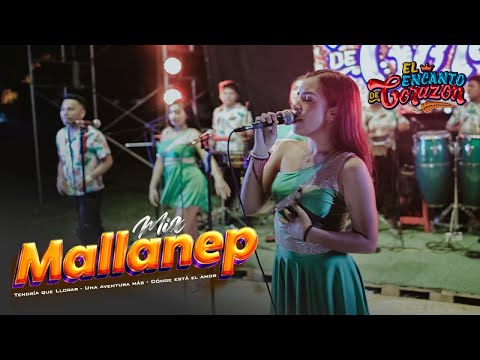 El Encanto de Corazón - Mix Mallanep|Tendría que llorar|Una aventura más|Dónde esta el amor