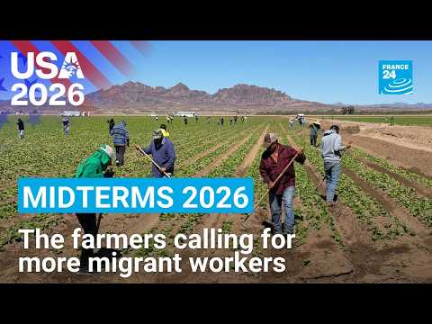 Midterms 2026: The farmers calling for more migrant workers