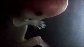 ISIS Holy Tears (2007) HD uprez