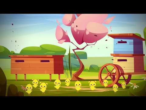 Puișori gălbiori - cântece animate pentru copii de la Clopoțelul Magic