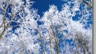 Chris Tomlin - Lovely