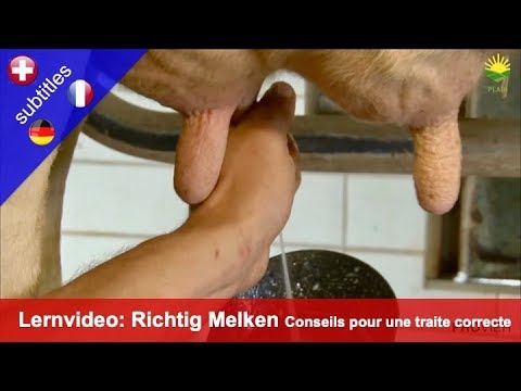 , title : 'Lernvideo: Erfolgreich Melken'