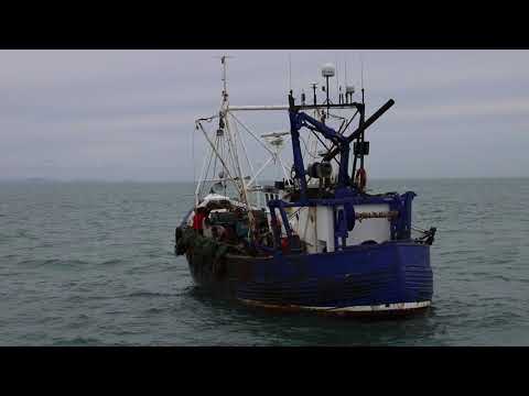 Scallop Fishing Aboard the OrlaS