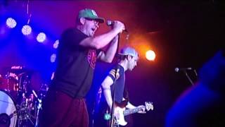 Samiam - Stepson (Track 14 of 19) | Moshcam