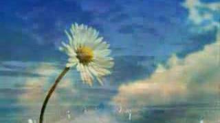 On The Mend - Foo Fighters