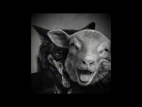 Dark Boom Bap Type Beat - "BARK" | old school beat