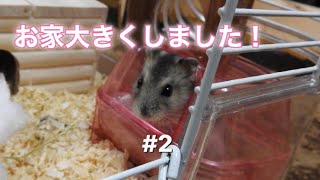 ハムスターのお家を大きくしました!!