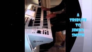 The Cat on WERSI Verona