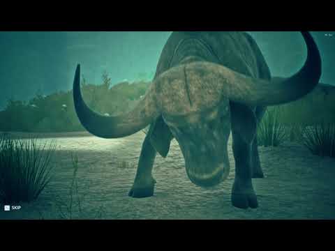 African Buffalo Kill Eastern Green Mamba