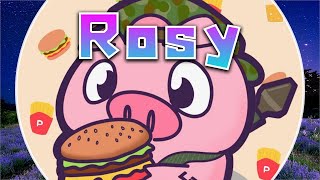 ワイルドホークbgm Closki - Rosy【作業用BGM/1時間耐久】