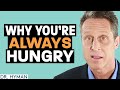 Always Hungry Here S Why