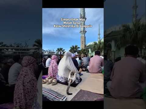 Bikin Malu Emak Aja 😔 #shorts #cat #kucing #catlovers #animals #funny #lucu #pets