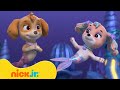 PAW Patrol Los Cachorros De PAW Patrol Salvan Un Castillo Submarino Nick Jr En Español