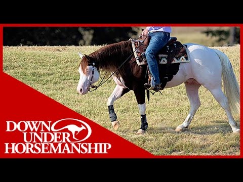 Clinton Anderson Presents: Titan a Legend in the Making, Lesson 6, Part 1 - Downunder Horsemanship