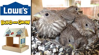 Lowes Build & Grow Bird Feeder .. or Bird House