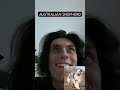How Dog Breeds React To Robbers With Pictures