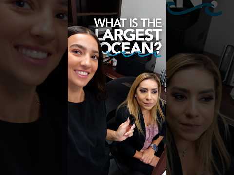 We Asked Our Team: What's The Largest Ocean On Earth? | Crystal Quest