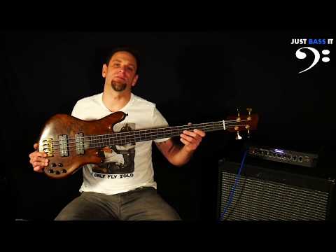 PHD 432 Lined Fretless Demo - Just Bass It
