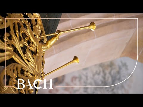 Bach - Erbarm dich mein, o Herre Gott BWV 721 - Van Doeselaar | Netherlands Bach Society