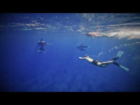 tour video on youtube