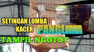 Download lagu SETTING LOMBA KACER -PANGLIMA TAMPIL NGOTOT mp3