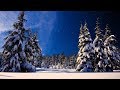 Christmas music, Christmas instrumental Music,  "Let It Snow" by Tim Janis