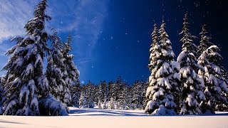 Christmas music, Christmas instrumental Music,  &quot;Let It Snow&quot; by Tim Janis