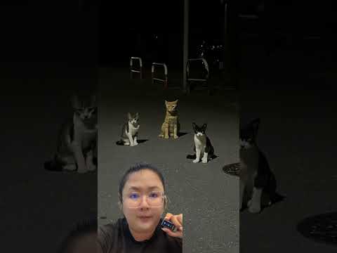 12 มีนาคม 2569